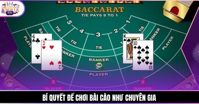 Bí quyết để chơi bài cào như chuyên gia