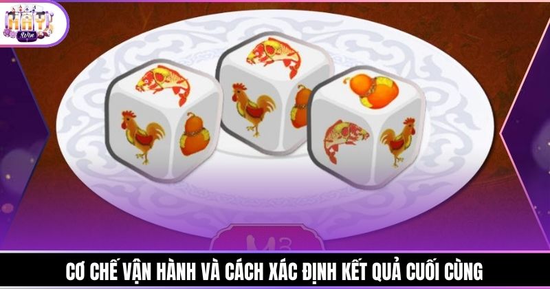 Cơ chế vận hành và cách xác định kết quả cuối cùng