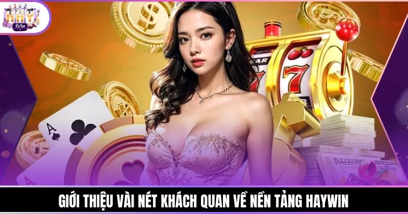 Giới thiệu vài nét khách quan về nền tảng Haywin
