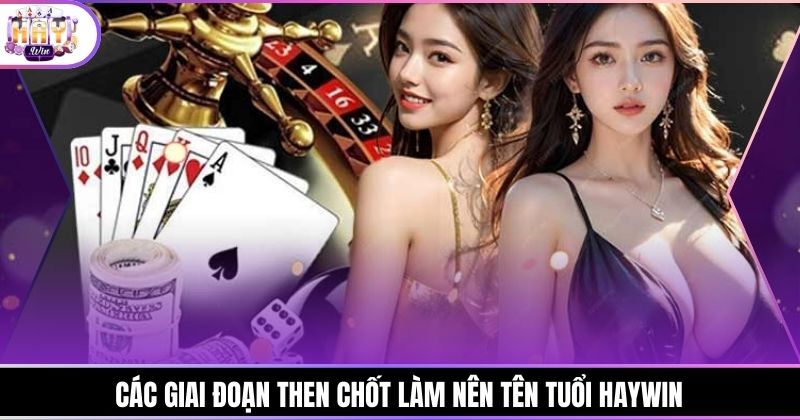 Các giai đoạn then chốt làm nên tên tuổi Haywin