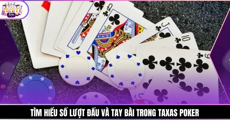 Tìm hiểu số lượt đấu và tay bài trong Taxas Poker