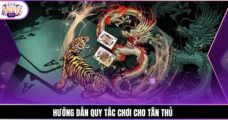 Hướng dẫn quy tắc chơi cho tân thủ 