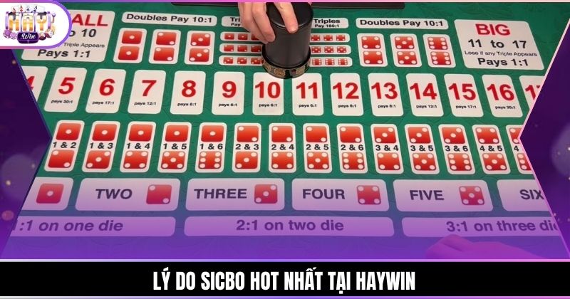 Lý do Sicbo hot nhất tại Haywin
