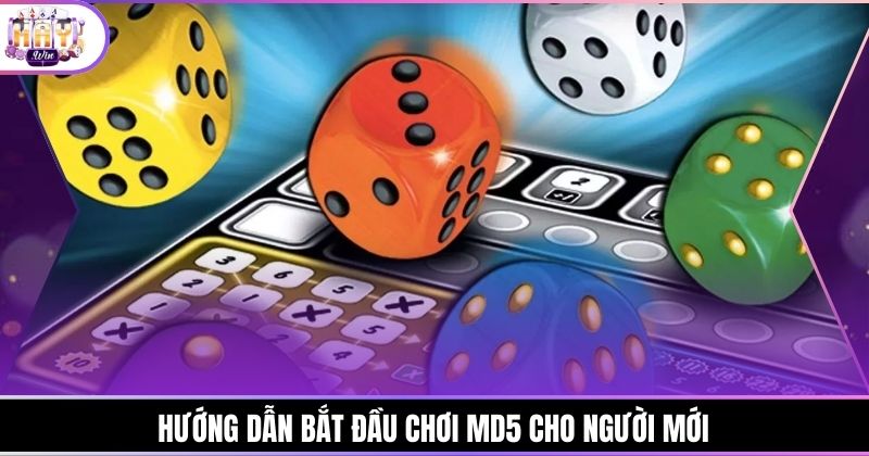 Hướng dẫn bắt đầu chơi md5 cho người mới